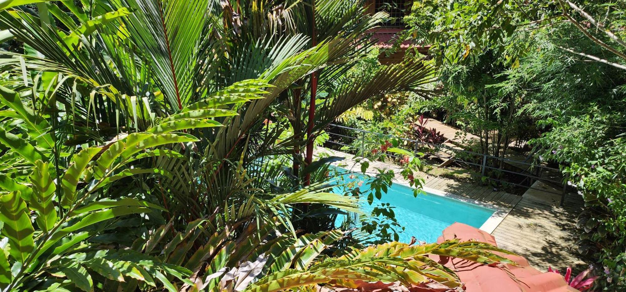 Boutique Hotel y Spa Tangara Azul Ojochal Bagian luar foto